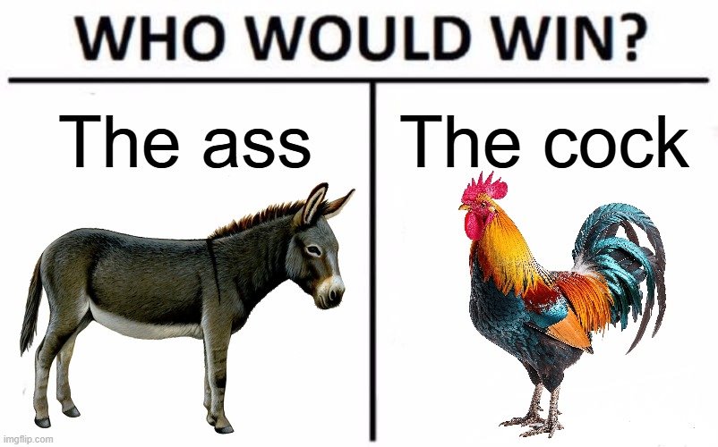 Ass vs. Cock | The ass; The cock | image tagged in memes,who would win,ass,cock | made w/ Imgflip meme maker