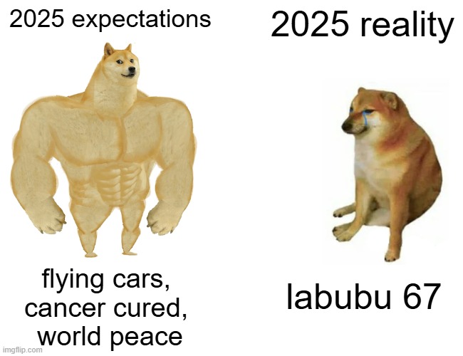 Buff Doge vs. Cheems | 2025 expectations; 2025 reality; flying cars, 
cancer cured, 
world peace; labubu 67 | image tagged in memes,buff doge vs cheems | made w/ Imgflip meme maker