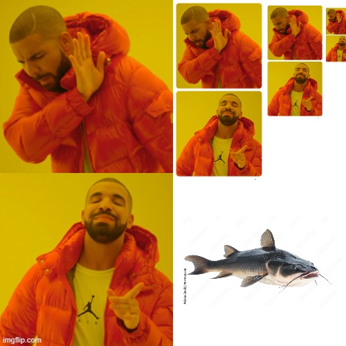 Reject Repetitive Meme, Embrace Unique Memes. | image tagged in memes,drake hotline bling,adobe,stock,fish | made w/ Imgflip meme maker