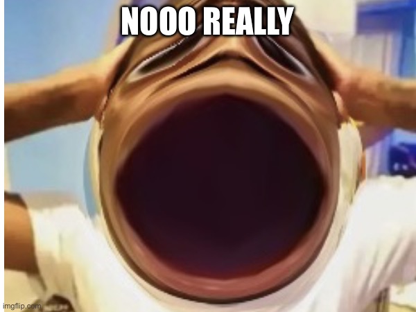 NOOO REALLY | made w/ Imgflip meme maker