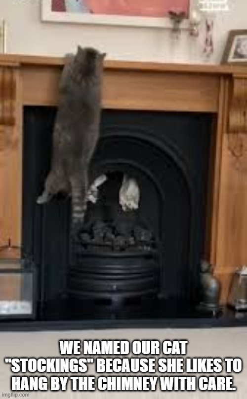 We name our cat "Stockings" because she likes to hang by the chimney with care. | WE NAMED OUR CAT "STOCKINGS" BECAUSE SHE LIKES TO HANG BY THE CHIMNEY WITH CARE. | image tagged in cat,kittens,funny,humor,christmas,hang in there | made w/ Imgflip meme maker