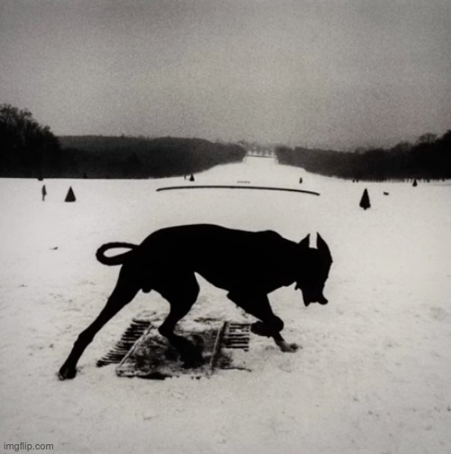 famine | made w/ Imgflip meme maker