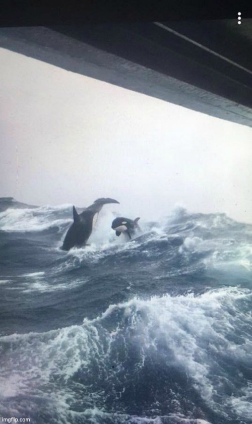 infinite devine | made w/ Imgflip meme maker