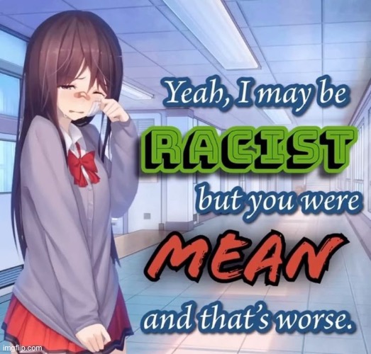 Yeah i may be racist but you were mean and that's worse | image tagged in yeah i may be racist but you were mean and that's worse | made w/ Imgflip meme maker