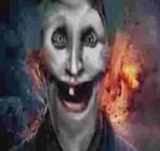 jonkler dumb | image tagged in jonkler dumb | made w/ Imgflip meme maker