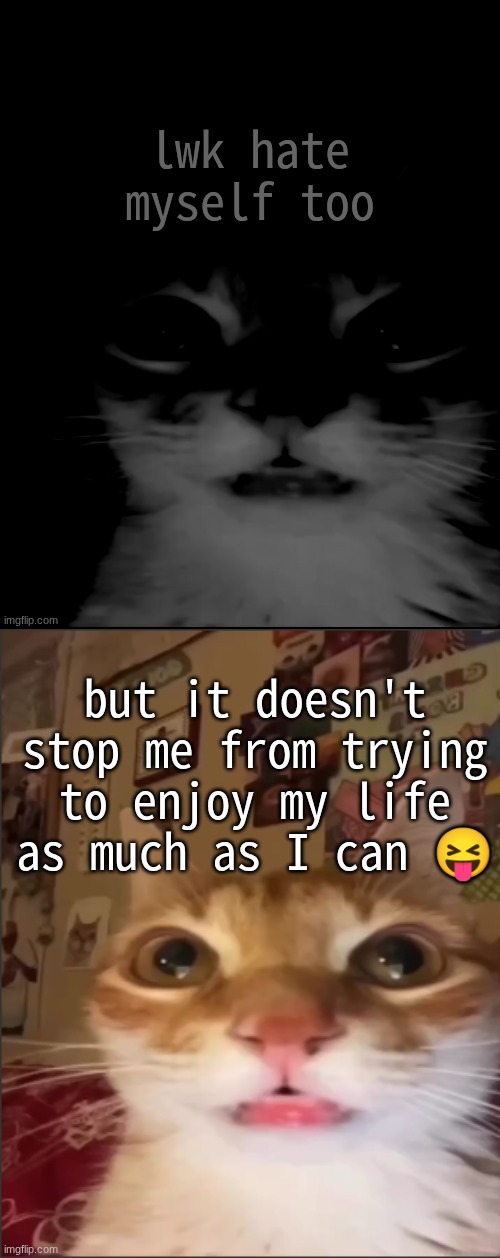 I'm at the point where I don't give a shit | lwk hate myself too; but it doesn't stop me from trying to enjoy my life as much as I can 😝 | image tagged in orange cat uncanny stare,orange cat stare | made w/ Imgflip meme maker