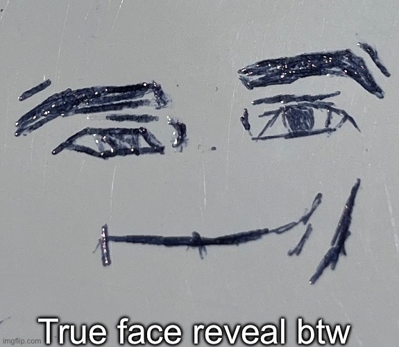 The other ones were fake fr | True face reveal btw | made w/ Imgflip meme maker