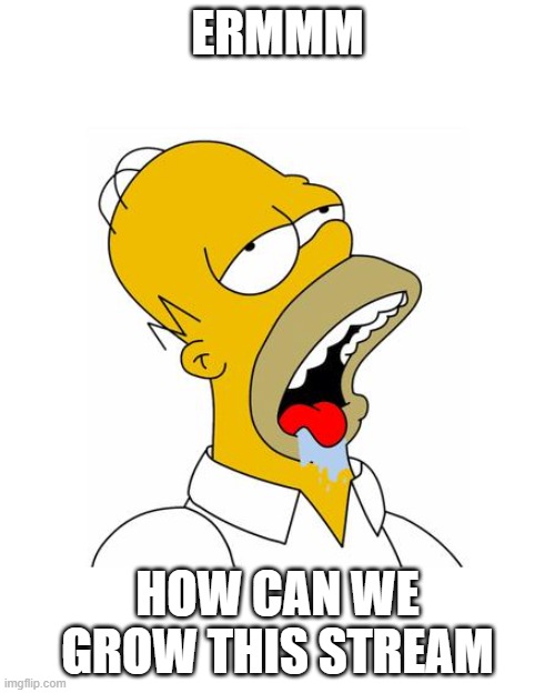 I'll link it a meme I make | ERMMM; HOW CAN WE GROW THIS STREAM | image tagged in homer simpson drooling | made w/ Imgflip meme maker