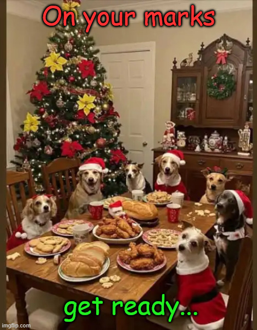 Waiting for the magic word | On your marks; get ready... | image tagged in memes,overload,magic word | made w/ Imgflip meme maker