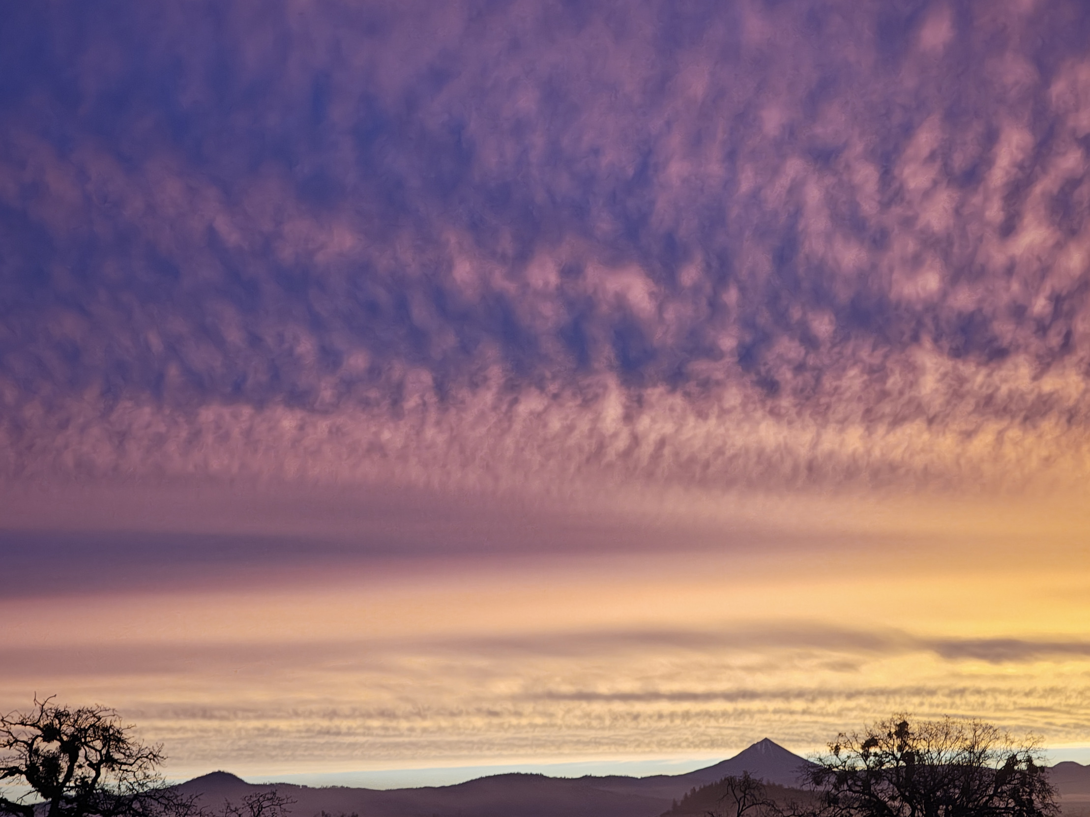 Finding your purpose Blank Meme Template