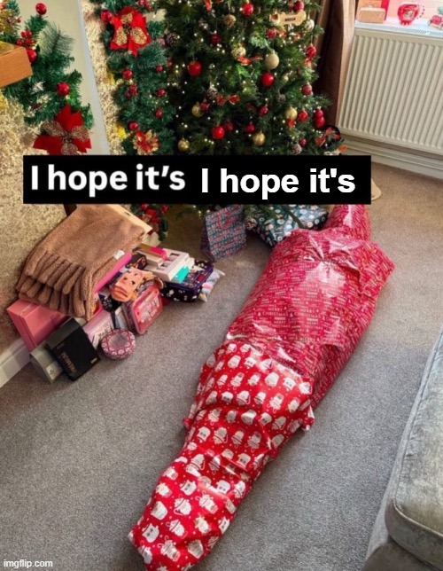 I hope it's | I hope it's | image tagged in i hope it's | made w/ Imgflip meme maker