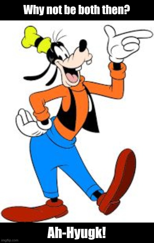 goofy | Why not be both then? Ah-Hyugk! | image tagged in goofy | made w/ Imgflip meme maker