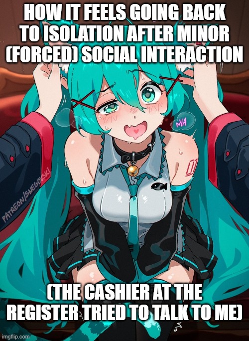 HOW IT FEELS GOING BACK TO ISOLATION AFTER MINOR (FORCED) SOCIAL INTERACTION; (THE CASHIER AT THE REGISTER TRIED TO TALK TO ME) | image tagged in literally,me | made w/ Imgflip meme maker