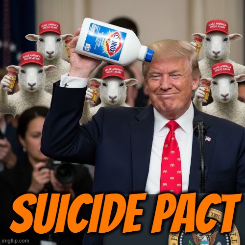 SUICIDE PACT | SUICIDE PACT | image tagged in trump,maga,bleach,tylenol,suicide,suicide pact | made w/ Imgflip meme maker