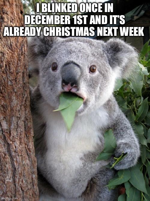 Surprised Koala | I BLINKED ONCE IN DECEMBER 1ST AND IT’S ALREADY CHRISTMAS NEXT WEEK | image tagged in memes,surprised koala | made w/ Imgflip meme maker