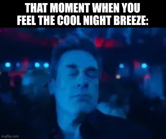 THAT MOMENT WHEN YOU FEEL THE COOL NIGHT BREEZE: | image tagged in memes,cool,night | made w/ Imgflip meme maker