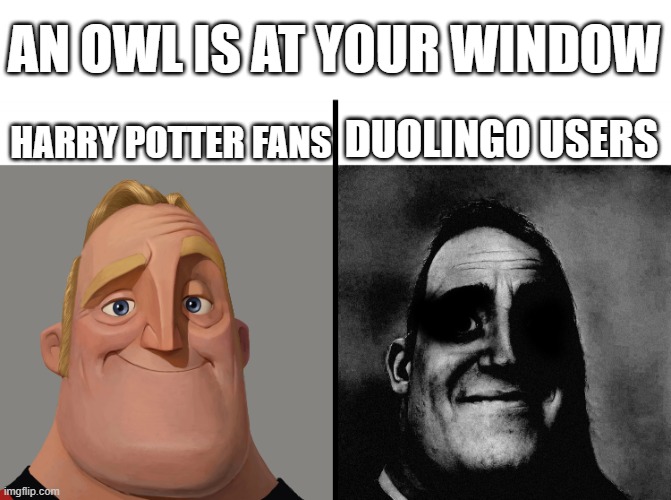 owls | AN OWL IS AT YOUR WINDOW; HARRY POTTER FANS; DUOLINGO USERS | image tagged in mr increible,duolingo,owl | made w/ Imgflip meme maker
