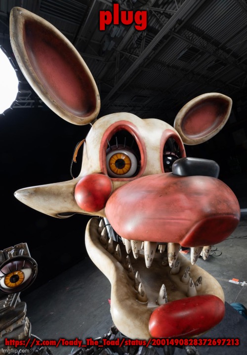 mango | plug; https://x.com/Toady_The_Toad/status/2001490828372697213 | image tagged in mango | made w/ Imgflip meme maker