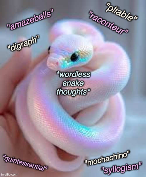 echolalia/ wordlessness | "pliable"; "amazeballs"; "raconteur"; "digraph"; *wordless
snake
thoughts*; "mochachino"; "quintessential"; "syllogism" | image tagged in iridescent snake,autism,language,words,beauty | made w/ Imgflip meme maker