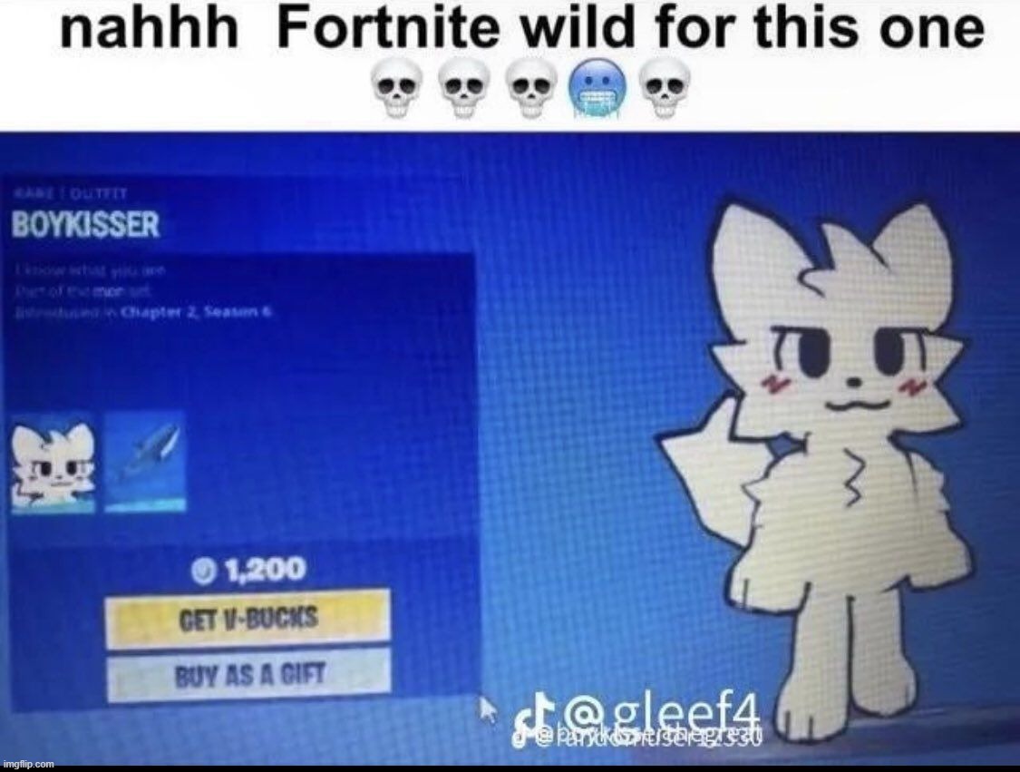 credit in image | image tagged in fortnite,silly cat | made w/ Imgflip meme maker