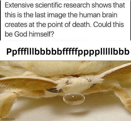 Could this be God himself? | image tagged in could this be god himself | made w/ Imgflip meme maker