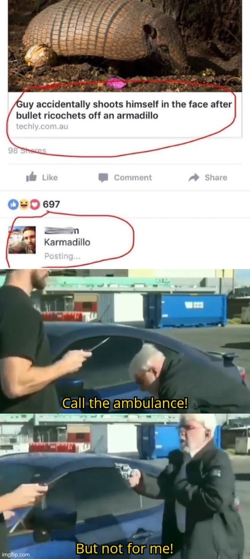 Not the Armadillo | image tagged in call an ambulance but not for me,armadillo,shots fired,shooting | made w/ Imgflip meme maker