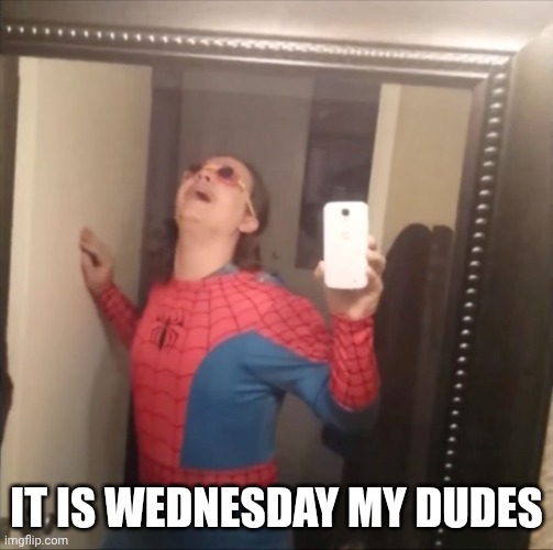 I'm late but it's still Wednesday! | IT IS WEDNESDAY MY DUDES | image tagged in it's wednesday my dudes | made w/ Imgflip meme maker