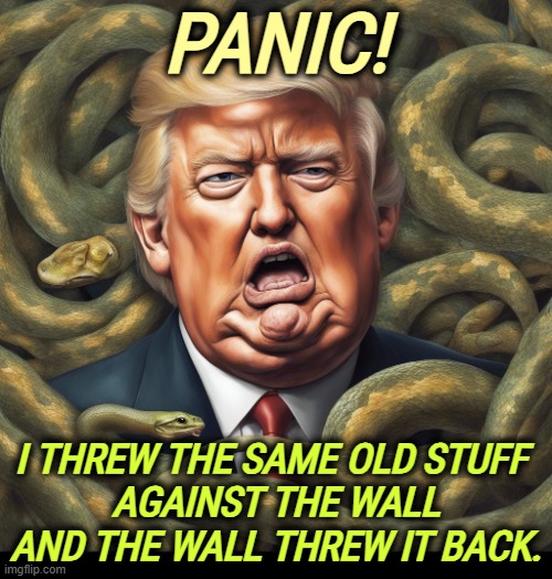 No sale. | PANIC! I THREW THE SAME OLD STUFF 
AGAINST THE WALL AND THE WALL THREW IT BACK. | image tagged in trump,panic,con man,failure,loser | made w/ Imgflip meme maker