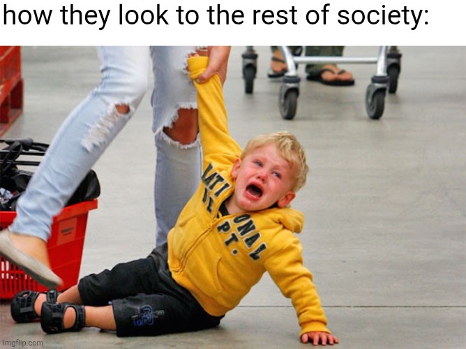 kid on floor in supermarket | how they look to the rest of society: | image tagged in kid on floor in supermarket | made w/ Imgflip meme maker