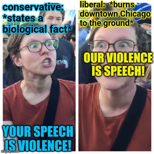 Social Justice Warrior Hypocrisy | conservative:
*states a biological fact* YOUR SPEECH IS VIOLENCE! liberal:  *burns
downtown Chicago
to the ground* OUR VIOLENCE IS SPEECH! | image tagged in social justice warrior hypocrisy | made w/ Imgflip meme maker