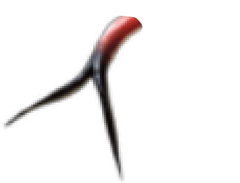 snake tongue Meme Template