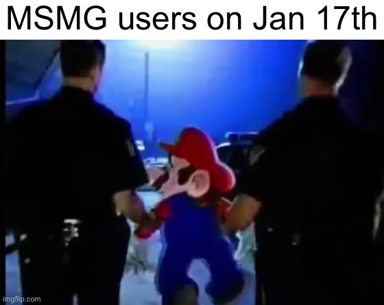 Mario gets arrested | MSMG users on Jan 17th | image tagged in mario gets arrested | made w/ Imgflip meme maker