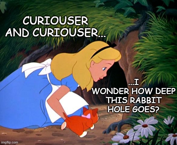 CURIOUSER AND CURIOUSER... ...I WONDER HOW DEEP THIS RABBIT HOLE GOES? | image tagged in alice looking down the rabbit hole | made w/ Imgflip meme maker