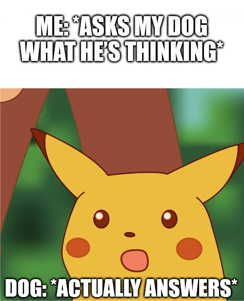 What? | ME: *ASKS MY DOG WHAT HE’S THINKING*; DOG: *ACTUALLY ANSWERS* | image tagged in surprised pikachu high quality,what,funny,memes | made w/ Imgflip meme maker