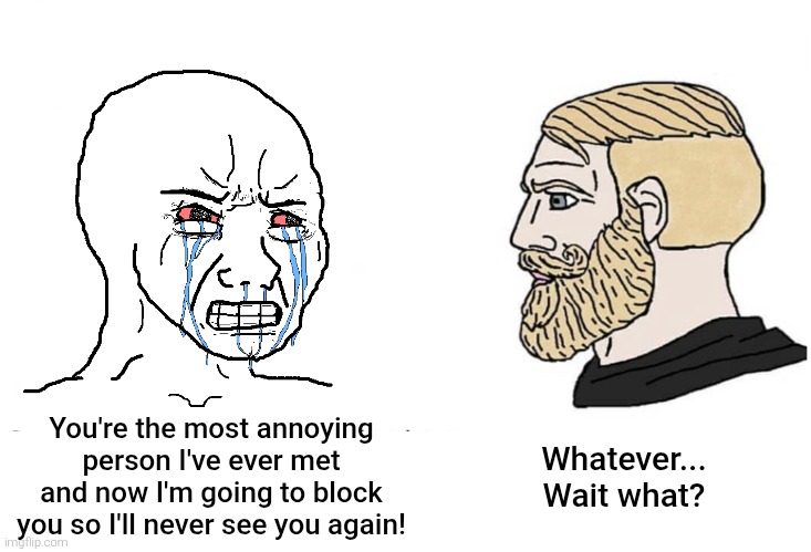 This is what we have to endure for the rest of our lives without a way to fix what was wrong to us. | Whatever... Wait what? You're the most annoying person I've ever met and now I'm going to block you so I'll never see you again! | image tagged in soyboy vs yes chad,wojak,chad,soyjak vs chad,blocked,relatable | made w/ Imgflip meme maker