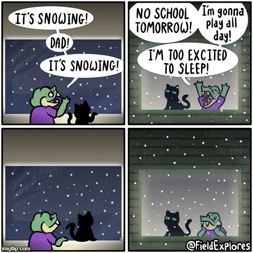 image tagged in alligator,cat,snow,snowing,window,watching | made w/ Imgflip meme maker