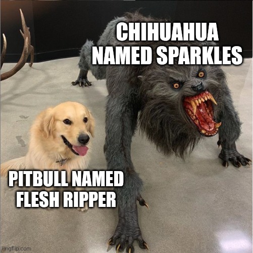 dog vs werewolf | CHIHUAHUA NAMED SPARKLES; PITBULL NAMED

FLESH RIPPER | image tagged in dog vs werewolf,chihuahua,pitbull | made w/ Imgflip meme maker