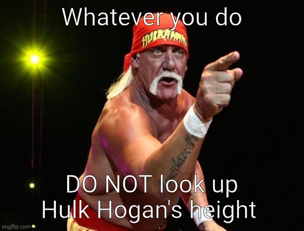 Hulk Hogan | Whatever you do; DO NOT look up Hulk Hogan's height | image tagged in hulk hogan,wwe,memes,lol | made w/ Imgflip meme maker