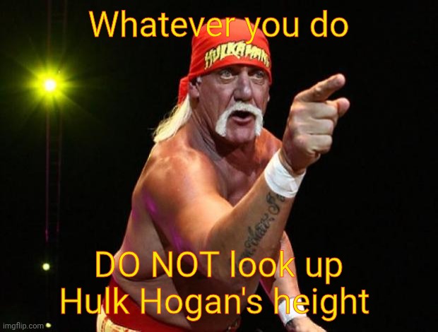Let me tell you something, brother! | Whatever you do; DO NOT look up Hulk Hogan's height | image tagged in hulk hogan,wwe,memes,lol | made w/ Imgflip meme maker