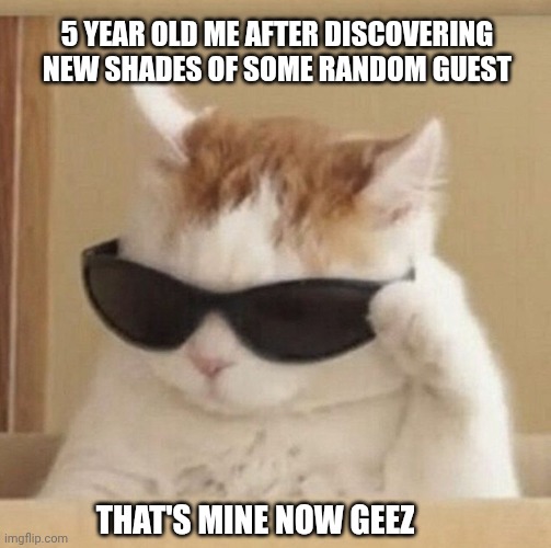 Those are mine... | 5 YEAR OLD ME AFTER DISCOVERING NEW SHADES OF SOME RANDOM GUEST; THAT'S MINE NOW GEEZ | image tagged in cool cat | made w/ Imgflip meme maker