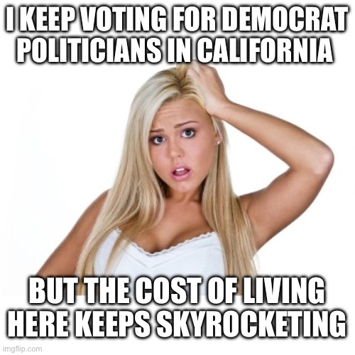 I KEEP VOTING FOR DEMOCRAT POLITICIANS IN CALIFORNIA BUT THE COST OF LIVING HERE KEEPS SKYROCKETING | image tagged in dumb blonde | made w/ Imgflip meme maker