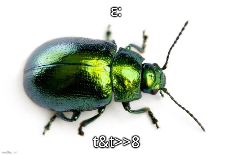 beetle | ε:; t&t>>8 | image tagged in beetle | made w/ Imgflip meme maker