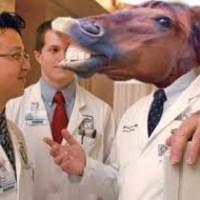 horse doctor Blank Meme Template