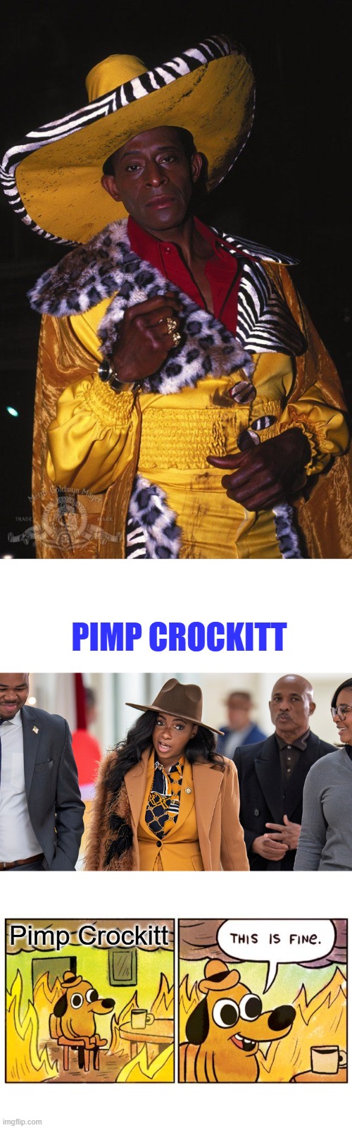 She's gone full Ghetto how's it workin? | PIMP CROCKITT; Pimp Crockitt | image tagged in memes,this is fine | made w/ Imgflip meme maker