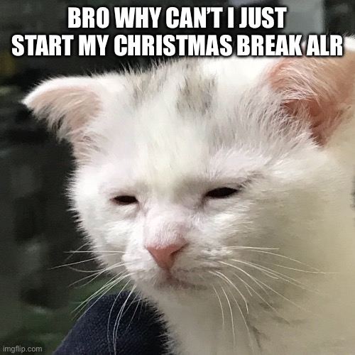 Morning | BRO WHY CAN’T I JUST START MY CHRISTMAS BREAK ALREADY | image tagged in i'm awake but at what cost | made w/ Imgflip meme maker