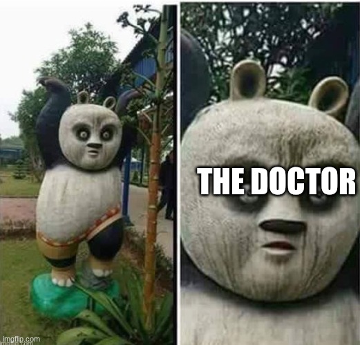 Kung fu OH NO | THE DOCTOR | image tagged in kung fu oh no | made w/ Imgflip meme maker