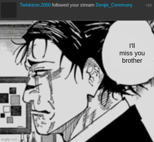 I'll miss you brother | image tagged in ts is so peak | made w/ Imgflip meme maker