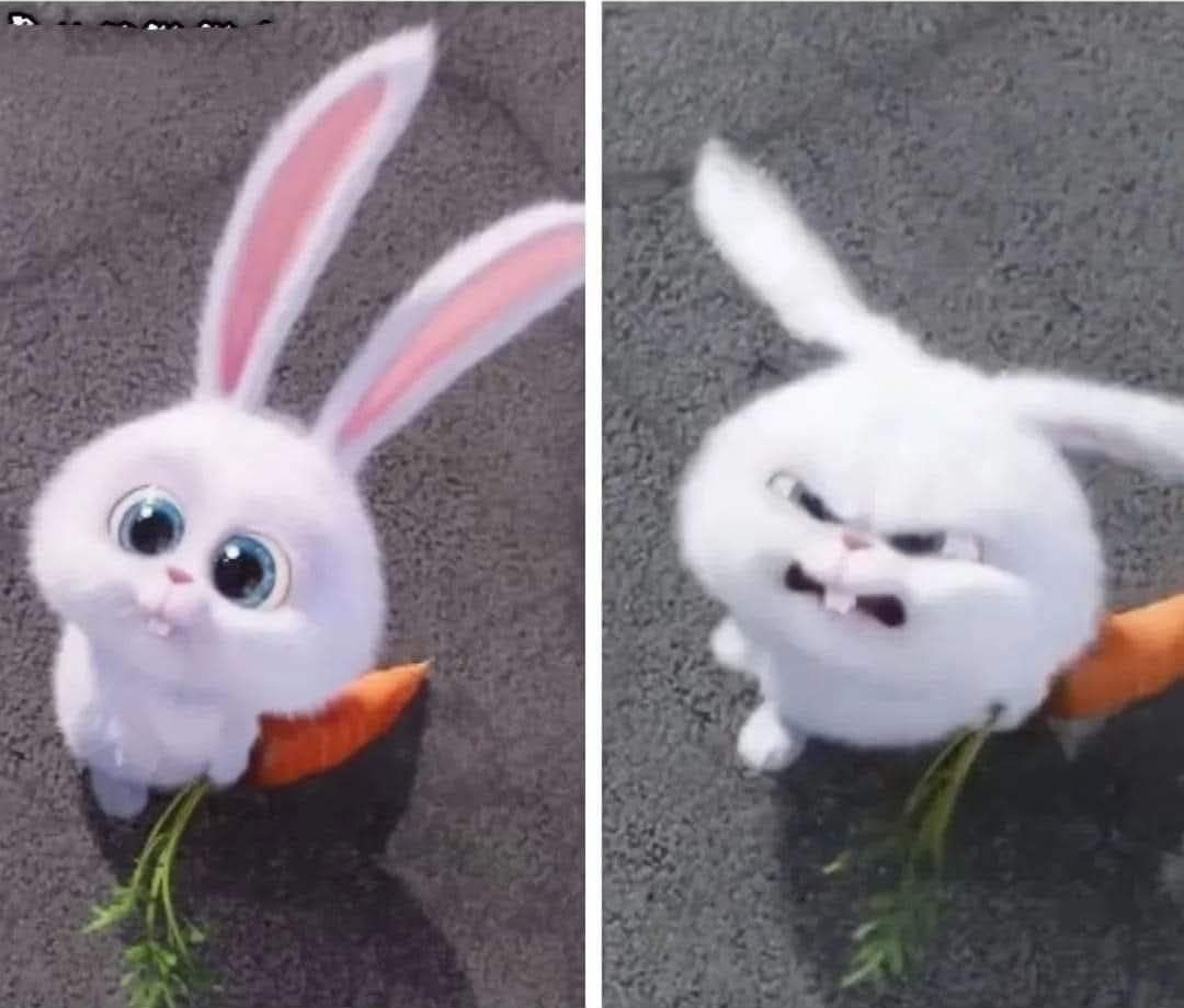 Bunny From Pets Blank Meme Template
