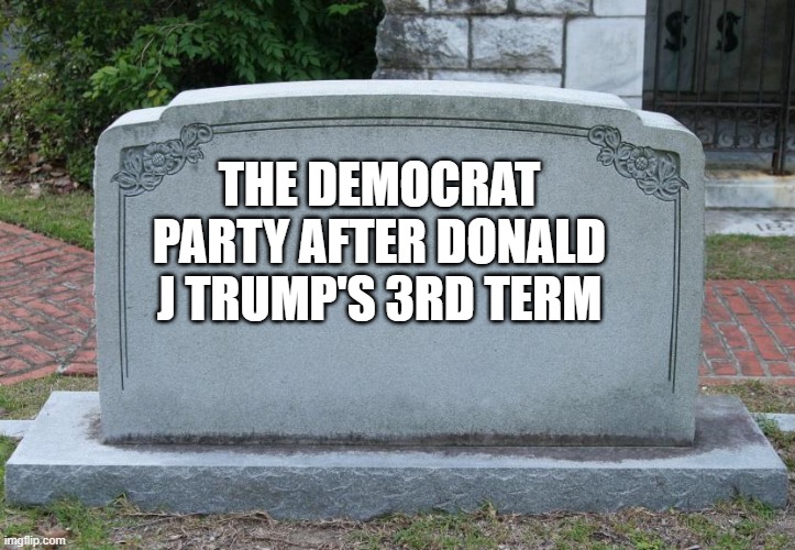 They will not be missed | THE DEMOCRAT PARTY AFTER DONALD J TRUMP'S 3RD TERM | image tagged in gravestone,trump 2028,crying democrats,run for king in 2032,trolling the left,democrat war on america | made w/ Imgflip meme maker