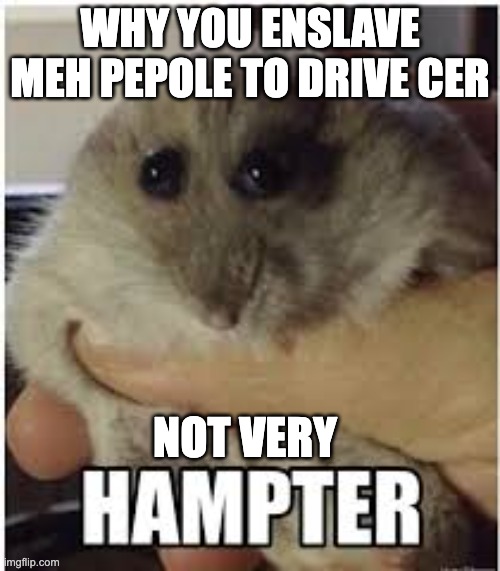 hampter | WHY YOU ENSLAVE MEH PEPOLE TO DRIVE CER; NOT VERY | image tagged in hampter | made w/ Imgflip meme maker